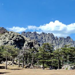 Alta Rocca - Costa Verde