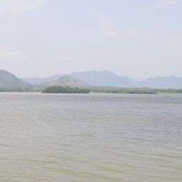 Jour 1 : - Negombo -