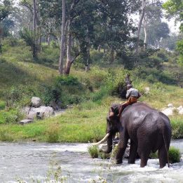 Munnar - Kodaikanal – 4h de voyage