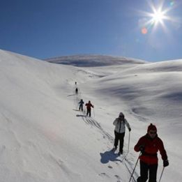 Parc de Pallas Tunturri