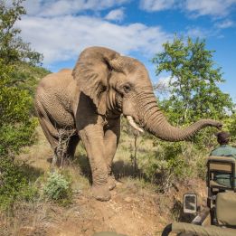 Maputo - Parc national Kruger