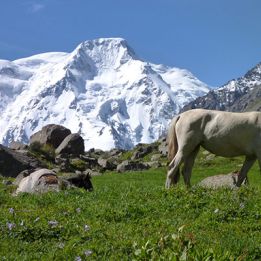 Karakol - Altyn - Arashan - Karakol