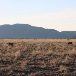 2 - Johannesburg - Blyde River Canyon