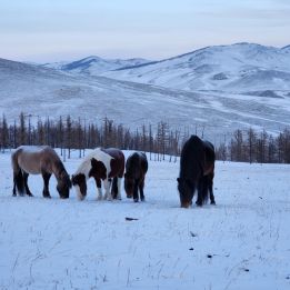 Ikh Khan Khubilai – Kharkhorin