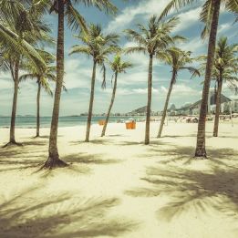 Rio de Janeiro - Corcovado - Santa Teresa - Pain de Sucre