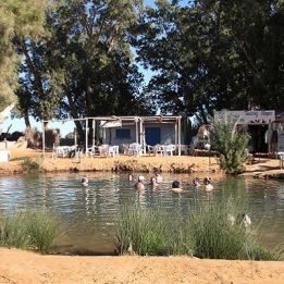 Dakanus - Lac Ain Ouadette