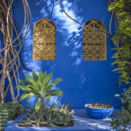 Marrakech - Taliouine