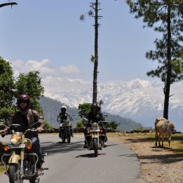 Jour 6 - Kausani – Chopta - 195 km