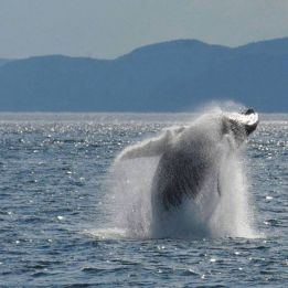 Sainte - Rose - du - Nord