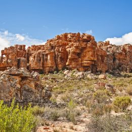 West Coast - Cederberg