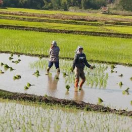 Luang Prabang - Village de Sivanh