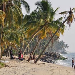 Jour 11 : - Vypin Island - Kochi - 30 km de route – 1h de voyage