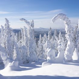 Montréal - Charlevoix