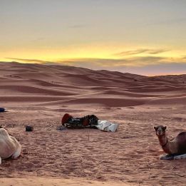 Timbaine - Zmela Lebrissa