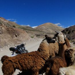 Cafayate - Andalgalá