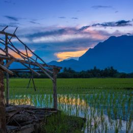 Jour 2 - Chiang Mai - Chiang Dao - 110 km de routes - 4h30 de conduite