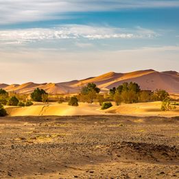 Boumalne - Tazzarine