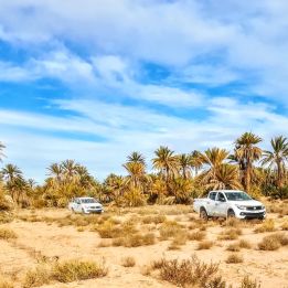 Sidi Ali - Palmeraie de Zagora