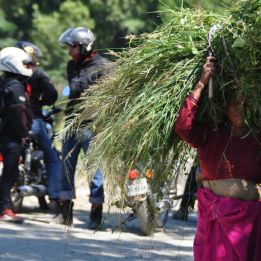 Jour 3 - Parc Jim Corbett – Sitla - 150 km