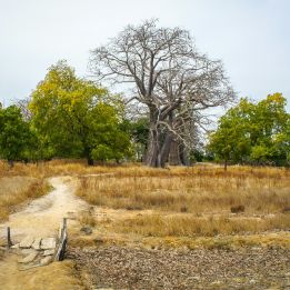 Sanyang - Kafountine
