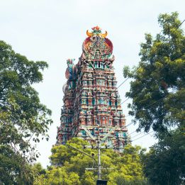 Periyar - Madurai
