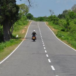 Jour 6 : - Trincomalee - Knuckles Range - 280 km de routes – 8h de conduite