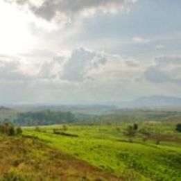 Jour 12 - Chiang Mai