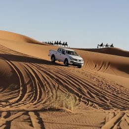 Erg Chegaga - Zagora