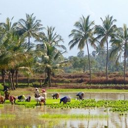 Thanjavur - Kumbakonam
