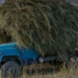 Canyon de Kichi Naryn - Vallée de Bosogo
