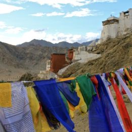 Jour 7 - Leh - Summor - 115 km