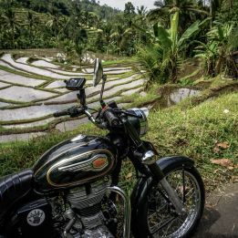 Ubud - Belimbing