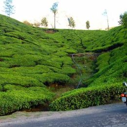 This part of the desert showcases the capabilities of the motorcycles and lets you fully experience Saharan riding, with a constant sense of space and freedom.