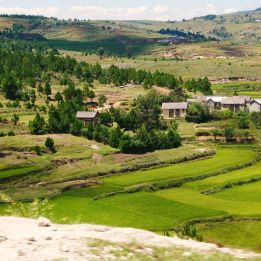 Ambositra - Ranomafana