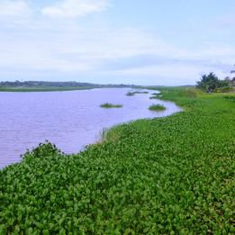 Soubré - Grand Lahou