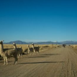 San Antonio de los Cobres - Cachi