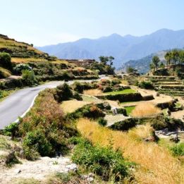 Jour 4 - Sitla – Binsar - 120 km
