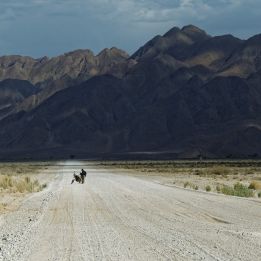 Orange River - Namaqualand