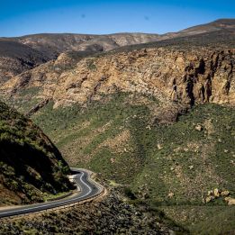 Jour 6 - Oudtshoorn – Matjiesfontein - 230 km