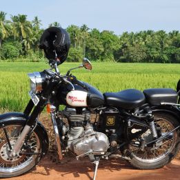 Kumily - Munnar - 4h de route