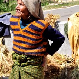 Jour 11 - Haridwar – Delhi - 230 km