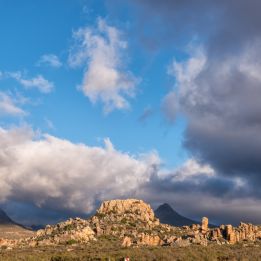 Karoo - Montagnes du Cederberg