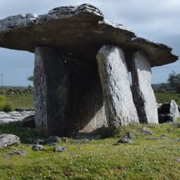 Ferry Cherbourg - Dublin