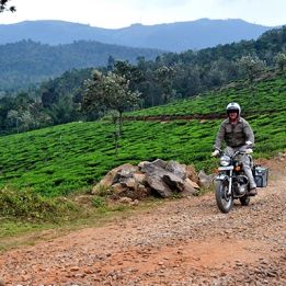 Jour 4 - Ramathra - Ranthambore - 65 km