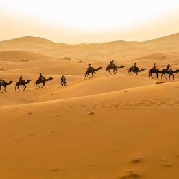 Dunes de Chegaga - Zagora