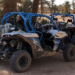 Jour 2 - Agadir - Mirleft - 200 km