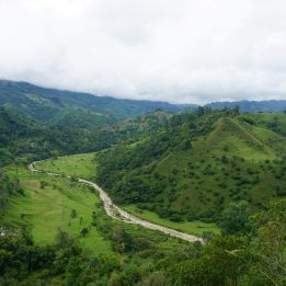 Medellín - Jardín