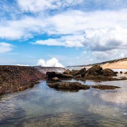 Parc Kruger (Olifants - Sabie River)