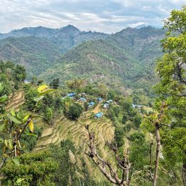Bandipur - Katmandou