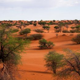 Windhoek - Kalahari